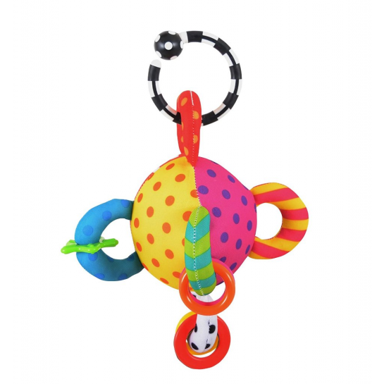 Sassy Loopy Ball Pushchair Toy