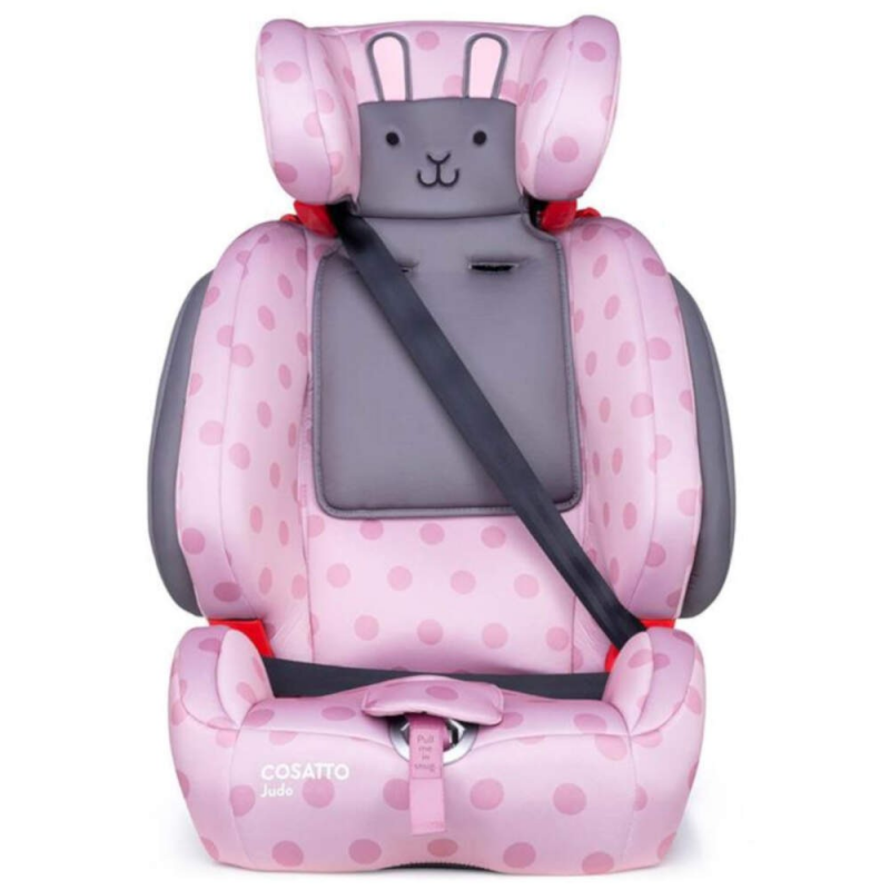 Cosatto Judo Group 1/2/3 Car Seat – Bunny Buddy