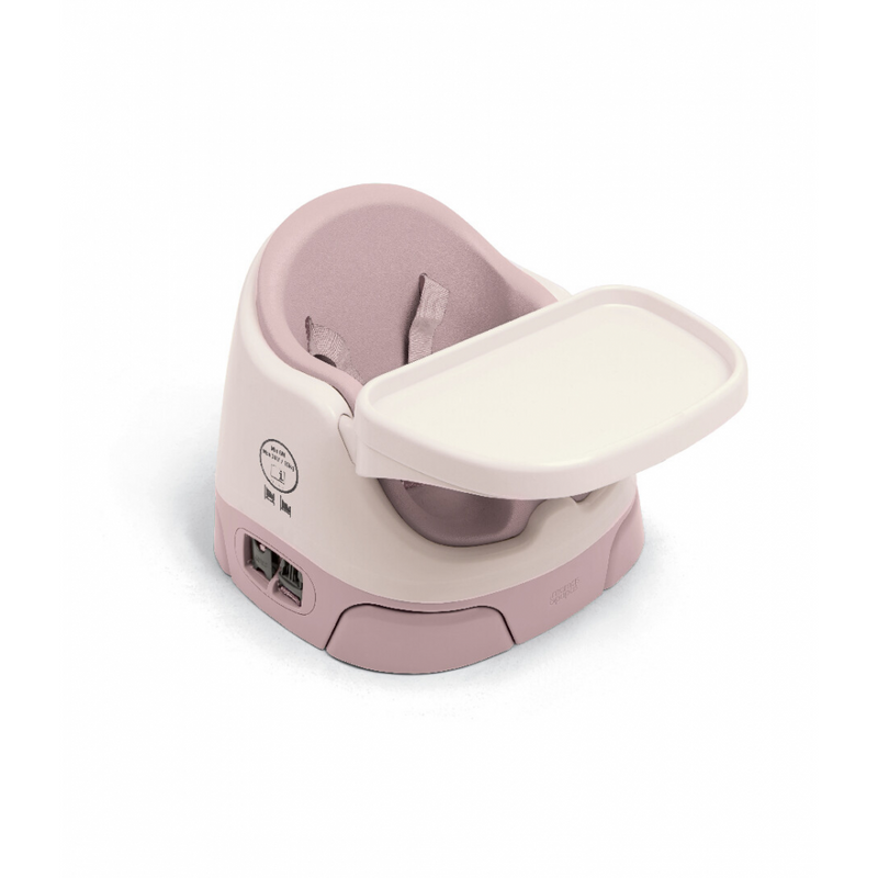 Mamas & Papas Baby Bug and Activity Tray Blossom - Chair Mode